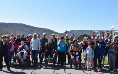 Promenons nous dans les bois….